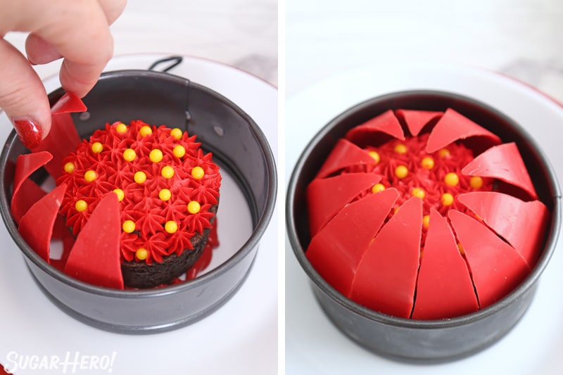 Blooming Chocolate Flowers - placing curved red petals around the edge of a springform pan to create a sphere | From SugarHero.com