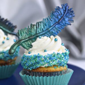 Cupcake with a swirl of white buttercream, sprinkles, and a blue-green chocolate feather on top.