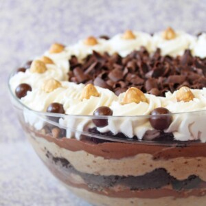 Side view of a Chocolate-Hazelnut Mousse Trifle.
