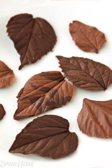 Variety of dark and milk chocolate leaves on a white plate.