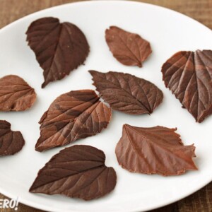 Variety of dark and milk chocolate leaves on a white plate.