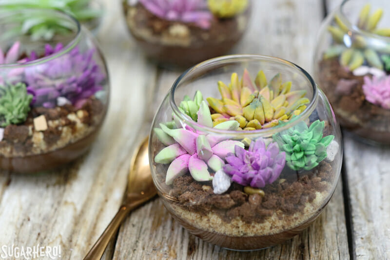 Edible Terrariums with Chocolate Pudding and Fondant Succulents | From SugarHero.com