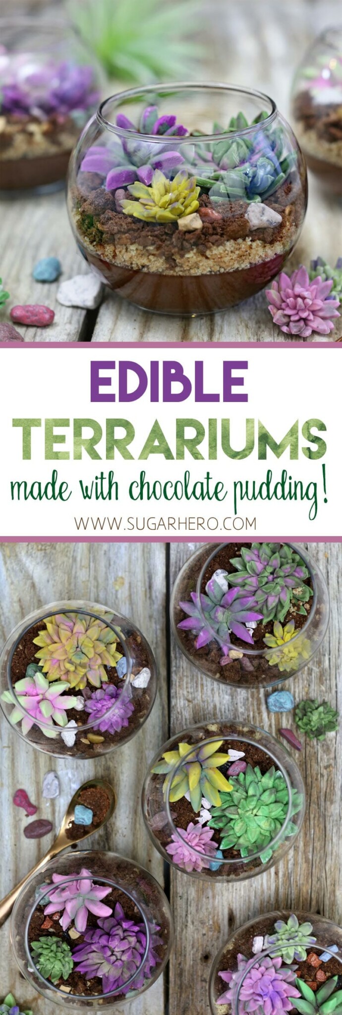 2 photo collage of Edible Terrariums with text overlay for Pinterest.