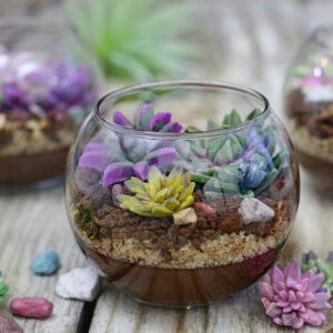 Close up of an Edible Terrarium.