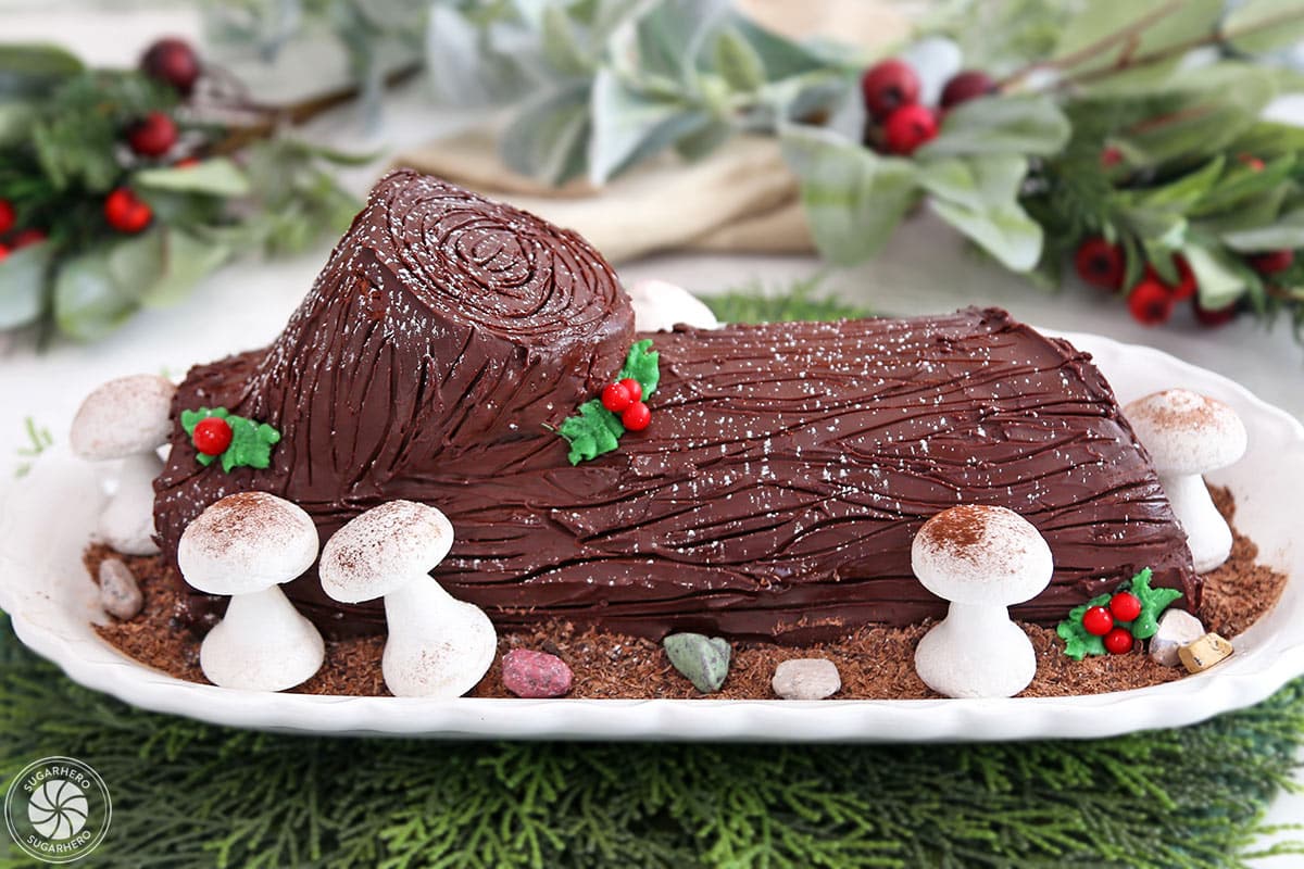 Sideview of a Flourless Chocolate Buche de Noel.