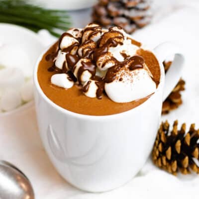 Cup of of Rich and Creamy Homemade Hot Chocolate embellished with marshmallows and drizzled chocolate syrup next to pine cones.