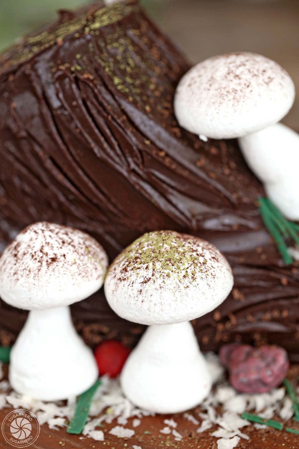 3 Meringue Mushrooms decorate a Buche de Noel cake.