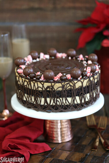 Peppermint Mocha Mousse Cake on a white cake plate.