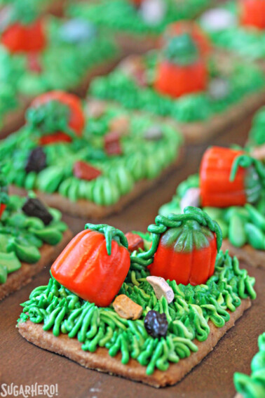 Close up of Pumpkin Patch Shortbread with faded pieces in the background.
