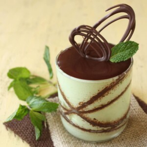 Close up of a Fresh Mint Semifreddo embellished with chocolate.