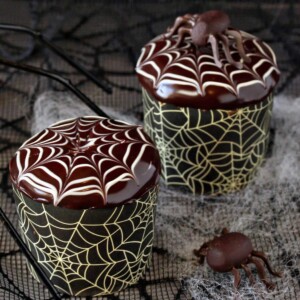 Close up of 2 Spiderweb Cupcakes and 2 chocolate spiders with giant black spiders in the background.